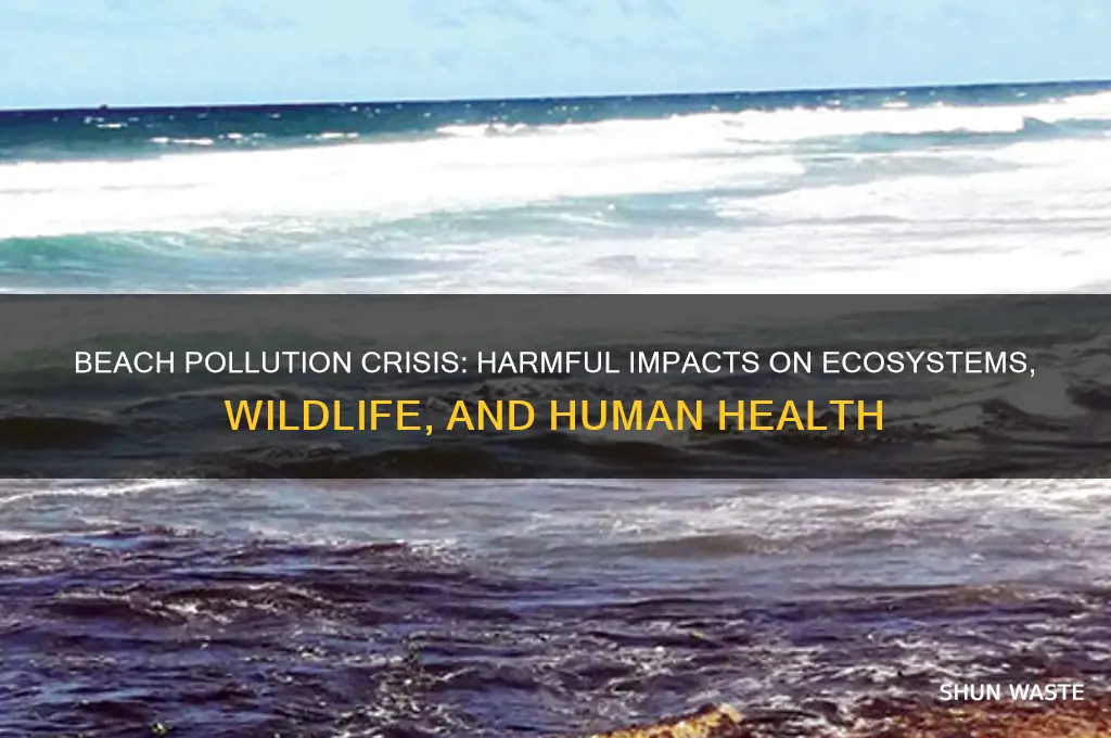 why is beach pollution a problem
