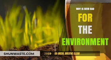 The Environmental Impact of Beer: Uncovering Its Hidden Ecological Costs
