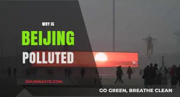 Understanding Beijing's Air Pollution Crisis: Causes and Consequences