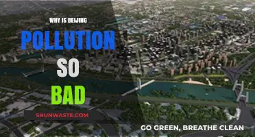 Beijing's Air Crisis: Unraveling the Causes of Severe Pollution