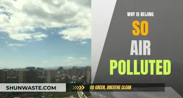 Beijing's Air Pollution: A Complex Crisis