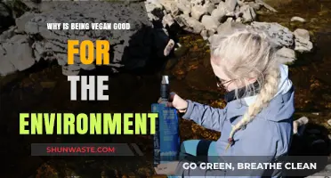 Veganism's Environmental Impact: Saving the Planet, One Meal at a Time