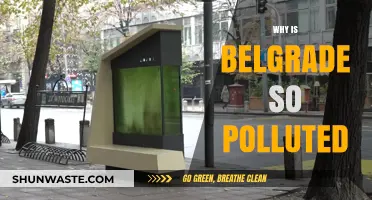 Belgrade's Air Quality Crisis: Causes and Consequences of Pollution