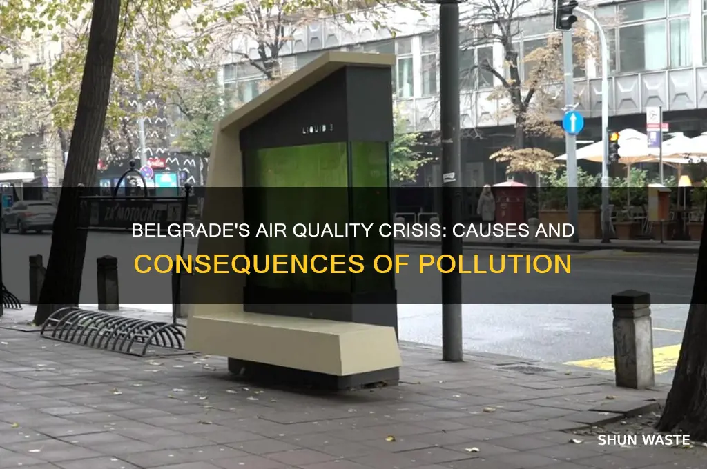 why is belgrade so polluted