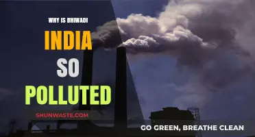 Bhiwadi's Pollution Crisis: Uncovering the Causes and Consequences in India