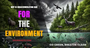 Bioaccumulation's Toxic Threat: How Pollutants Harm Ecosystems and Wildlife