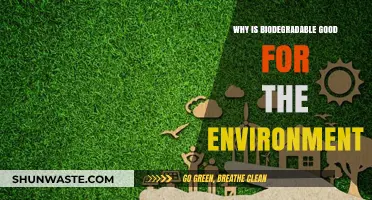 Biodegradable Products: Eco-Friendly Solutions for a Sustainable Future