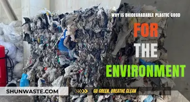 Eco-Friendly Revolution: Biodegradable Plastic's Environmental Benefits Explained