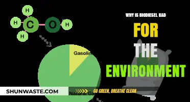 Biodiesel's Environmental Impact: Uncovering Hidden Ecological Costs and Concerns