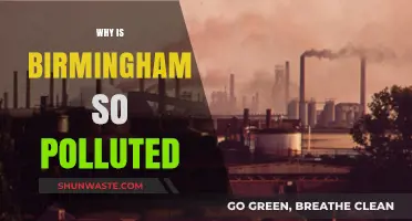 Birmingham's Air Quality Crisis: Causes and Consequences of Pollution