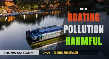 Boating Pollution's Devastating Impact on Marine Ecosystems and Human Health