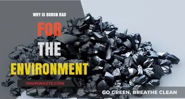 Boron's Environmental Impact: Uncovering Its Harmful Effects on Ecosystems