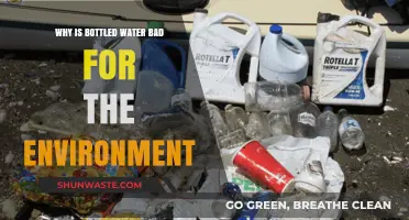 Bottled Water's Environmental Impact: Harmful Effects and Sustainable Alternatives