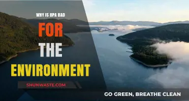 BPA's Environmental Impact: Harmful Effects and Sustainable Alternatives