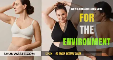 Breastfeeding Benefits: Eco-Friendly Choice for a Sustainable Future