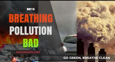 Breathing Pollution: Harmful Effects on Health and Environment Explained