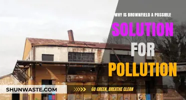 Brownfield Redevelopment: A Sustainable Solution to Combat Pollution