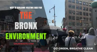 Bronx Heating Systems: Environmental Impact and Sustainable Alternatives
