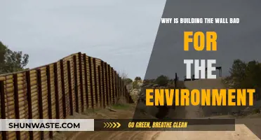 Border Wall's Devastating Environmental Impact: Biodiversity, Ecosystems, and Climate at Risk