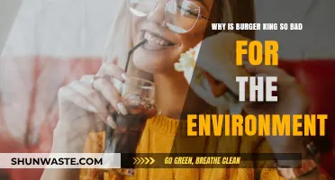 Burger King's Environmental Impact: Uncovering the Fast Food Giant's Eco-Footprint