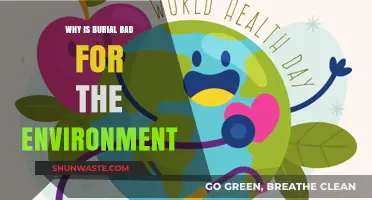 Burial's Environmental Impact: Uncovering Harmful Practices and Sustainable Alternatives