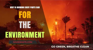 Burning Body Parts: Environmental Impact and Sustainable Alternatives Explored