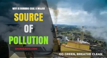 Burning Coal: A Major Pollution Source and Its Environmental Impact