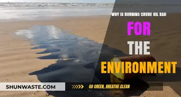 Burning Crude Oil: Environmental Impacts and Sustainable Alternatives Explained