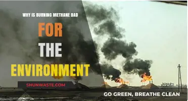 Methane Burning: Environmental Impacts and Why It's Harmful