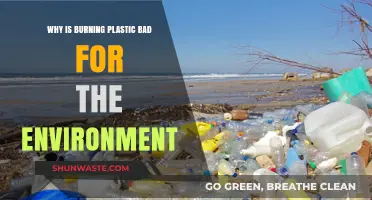 Burning Plastic: Toxic Consequences for Our Environment and Health