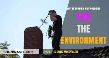 Burning Wet Wood: Environmental Harm and Sustainable Alternatives Explained