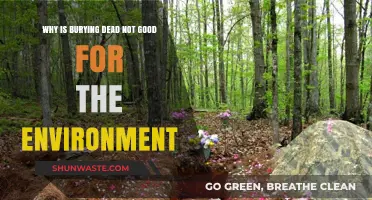 Eco-Friendly Alternatives to Burying the Dead: A Sustainable Approach