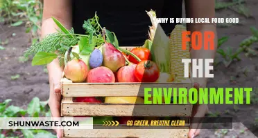 Support Local, Save the Planet: The Eco-Friendly Benefits of Buying Local Food