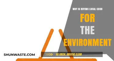 Supporting Local Businesses: A Sustainable Choice for a Greener Planet