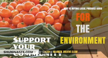 Supporting Local Produce: A Sustainable Choice for Our Planet's Health