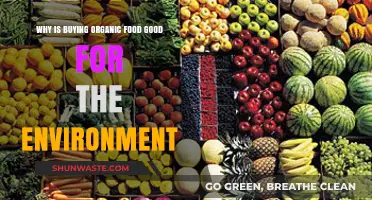 Organic Food Benefits: How Eco-Friendly Choices Protect Our Planet