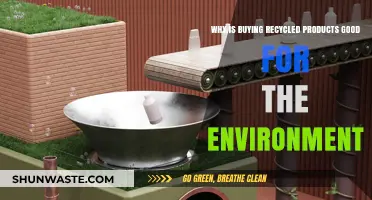 Sustainable Choices: How Buying Recycled Products Benefits Our Planet