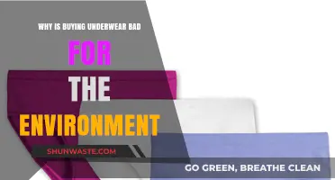 Eco-Friendly Underwear: Why Your Purchase Habits Matter for the Planet