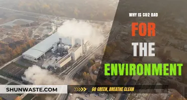 CO2's Environmental Impact: Understanding Its Harmful Effects on Our Planet