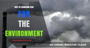 Cadmium's Toxic Impact: Environmental Hazards and Long-Term Ecological Consequences