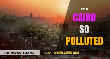 Cairo's Air Crisis: Unraveling the Causes of Severe Pollution