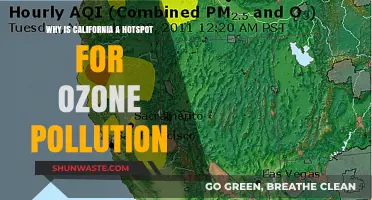 California's Ozone Crisis: Unraveling the Causes of Persistent Pollution