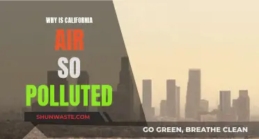 California's Polluted Air: Understanding the Crisis