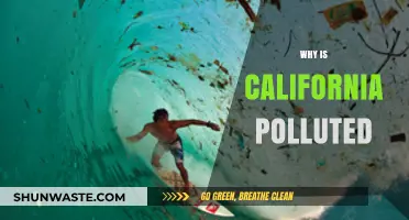 California's Pollution Crisis: Causes, Impacts, and Urgent Solutions Needed