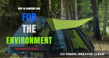 Camping's Environmental Impact: Uncovering the Hidden Harms of Outdoor Adventures