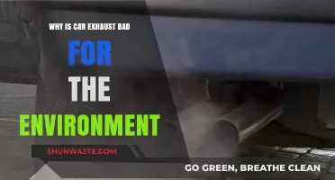 Car Exhaust Emissions: Harmful Environmental Impacts and Sustainable Solutions