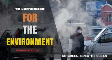 Car Pollution's Devastating Impact: Harming Our Environment and Health