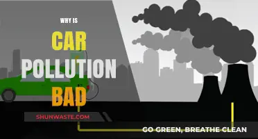 Car Pollution's Harmful Impact: Understanding the Environmental and Health Risks