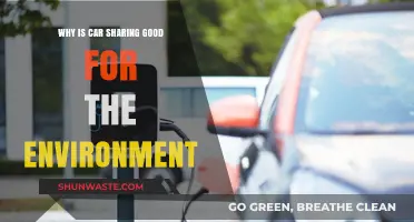 Car Sharing: Eco-Friendly Benefits for a Greener, Sustainable Future
