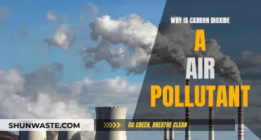 Carbon Dioxide: Air Pollutant or Necessary Evil?